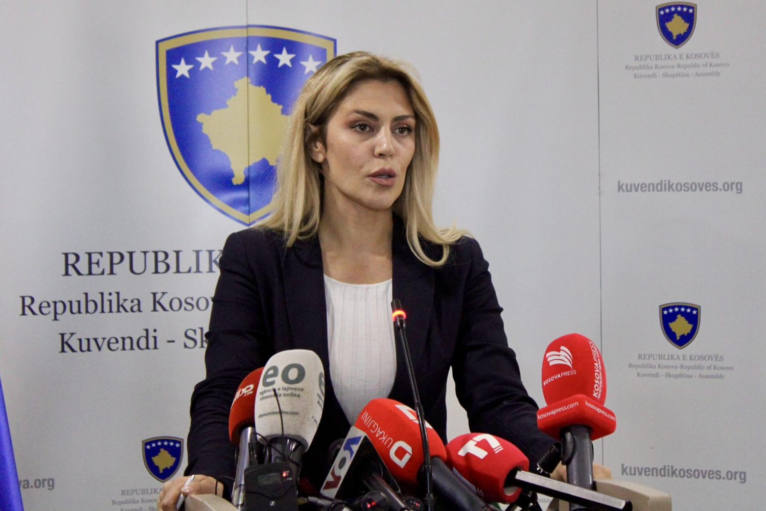 Blerta Deliu-Kodra gjatë një paraqitjeje para mediave