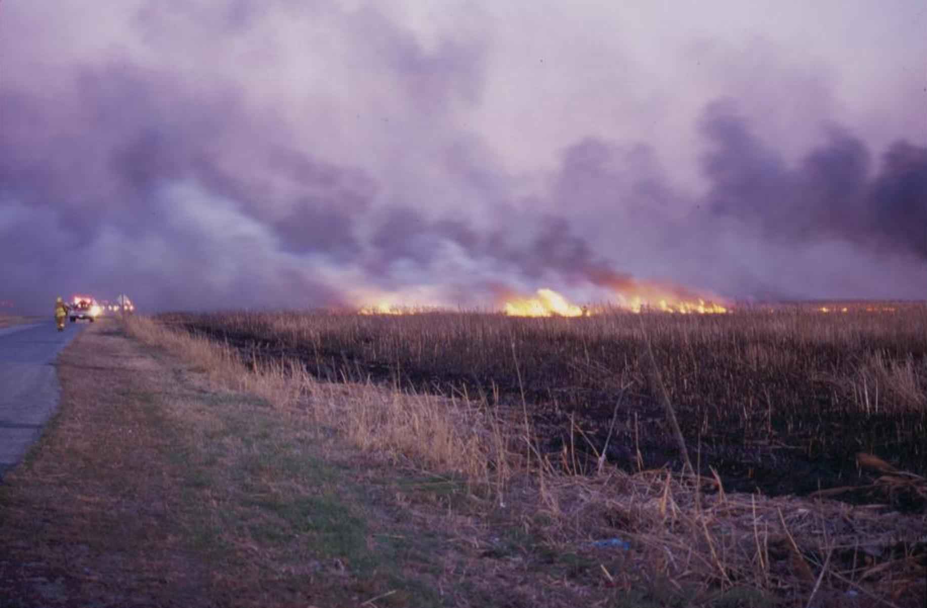 Zjarr në një fushë në Qeskovë të Klinës, zjarrfikësit lokalizojnë flakët