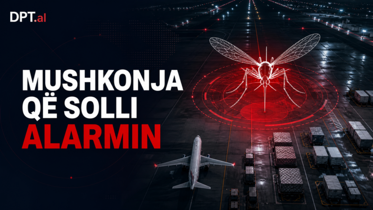 “Gjashtë të infektuar, dy viktima” – alarmi i rrallë i malaries në aeroportin e Frankfurtit