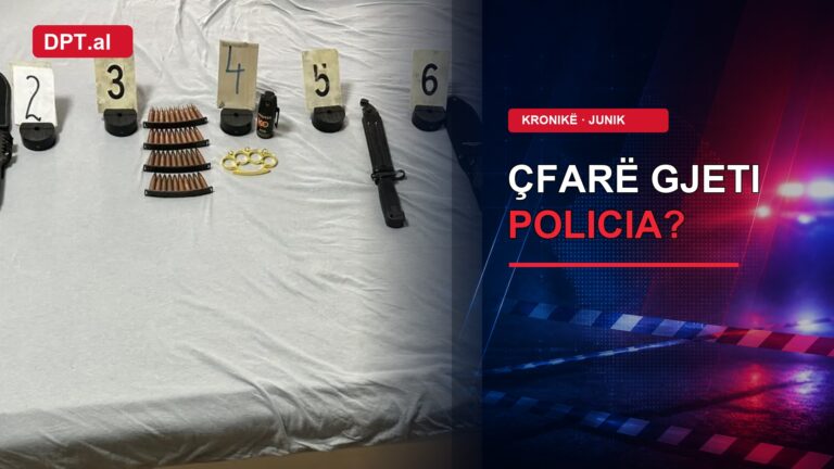 “40 fishekë dhe një pushkë”, çfarë sekuestroi Policia në Junik?