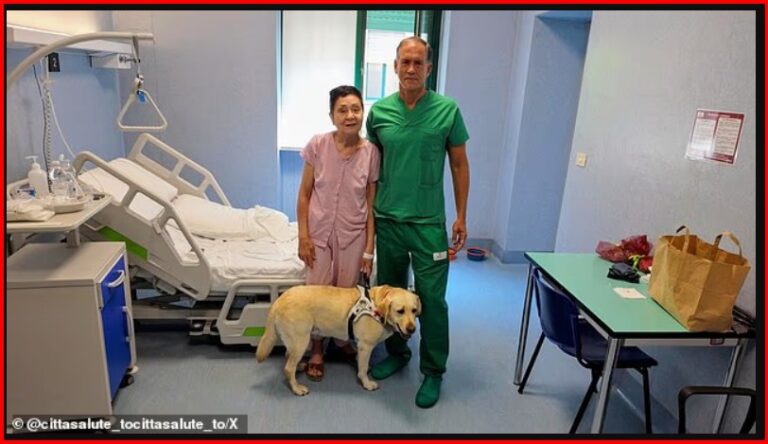 Pas pesë vitesh në errësirë, Elena sheh sërish: transplanti i retinës që po mahnit mjekësinë