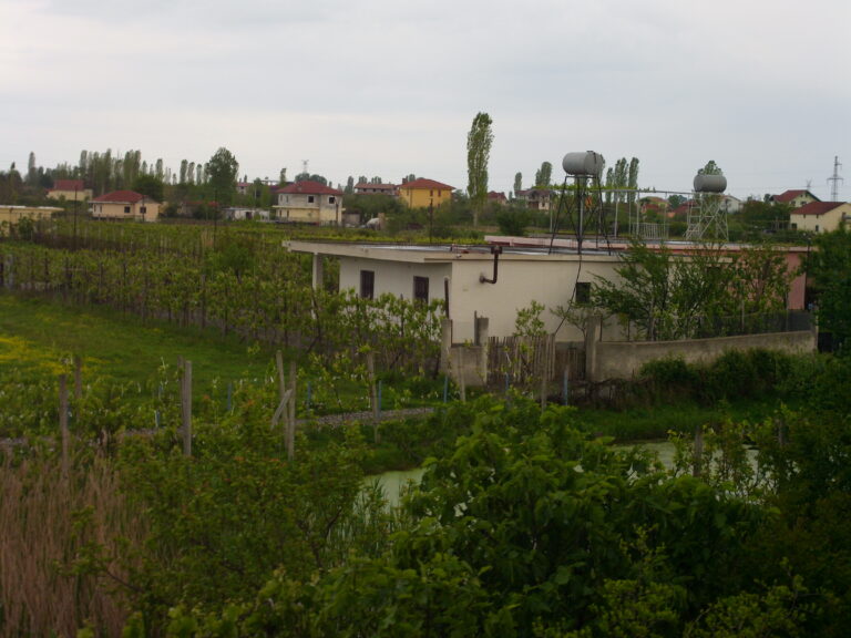 Zjarr i madh në Kalivaç të Lezhës, flakët afrohen pranë zonës së banuar