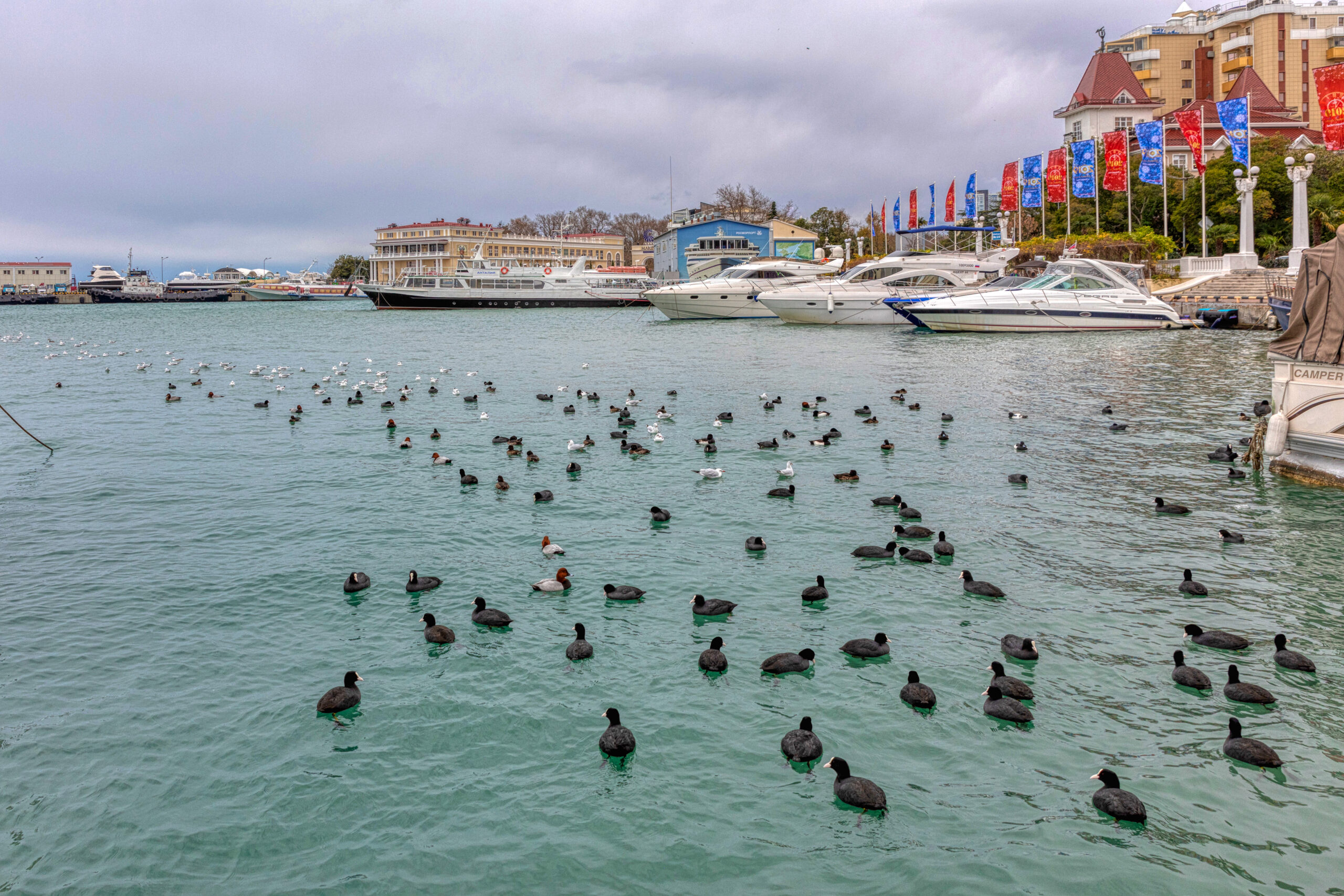 Marina ukrainase thotë se goditi anijen ruse ‘Nefrit’ në portin e Soçit