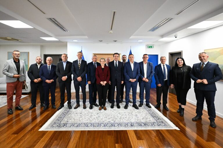 Partitë shqiptare bashkohen në një listë për zgjedhjet në Serbi